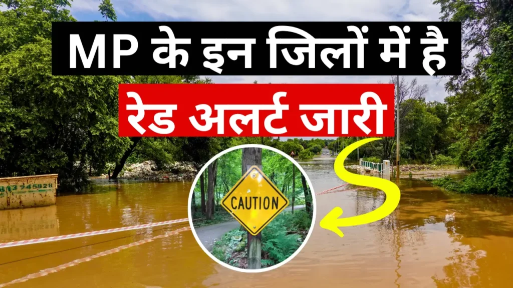 MP Heavy Rainfall