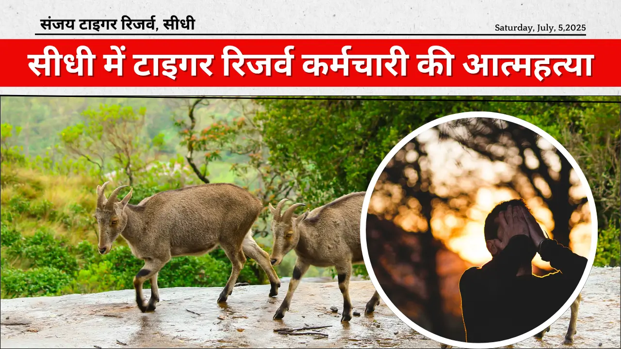 सीधी में टाइगर रिजर्व कर्मचारी की आत्महत्या